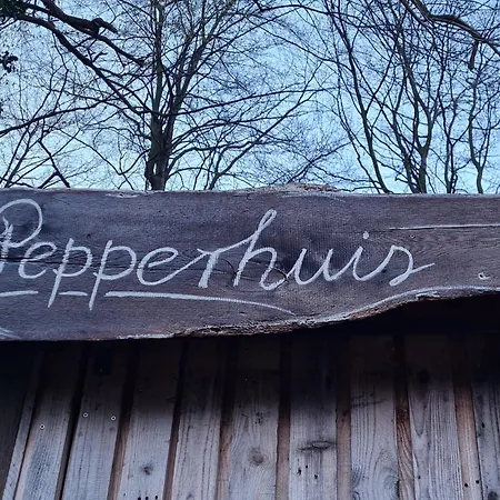 Pepper * Lemgo