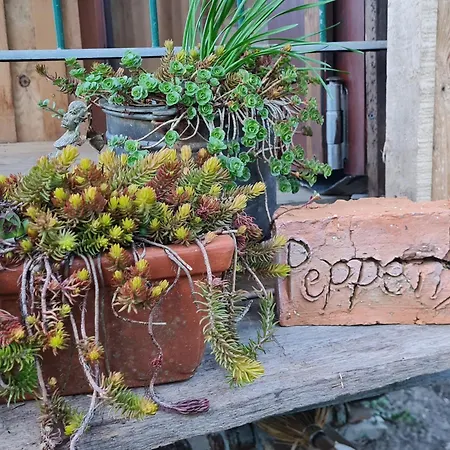Pepper Ferienhaus Lemgo